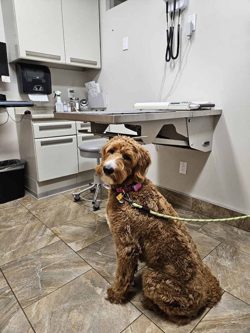 Cabrillo Pet Hospital photo 2