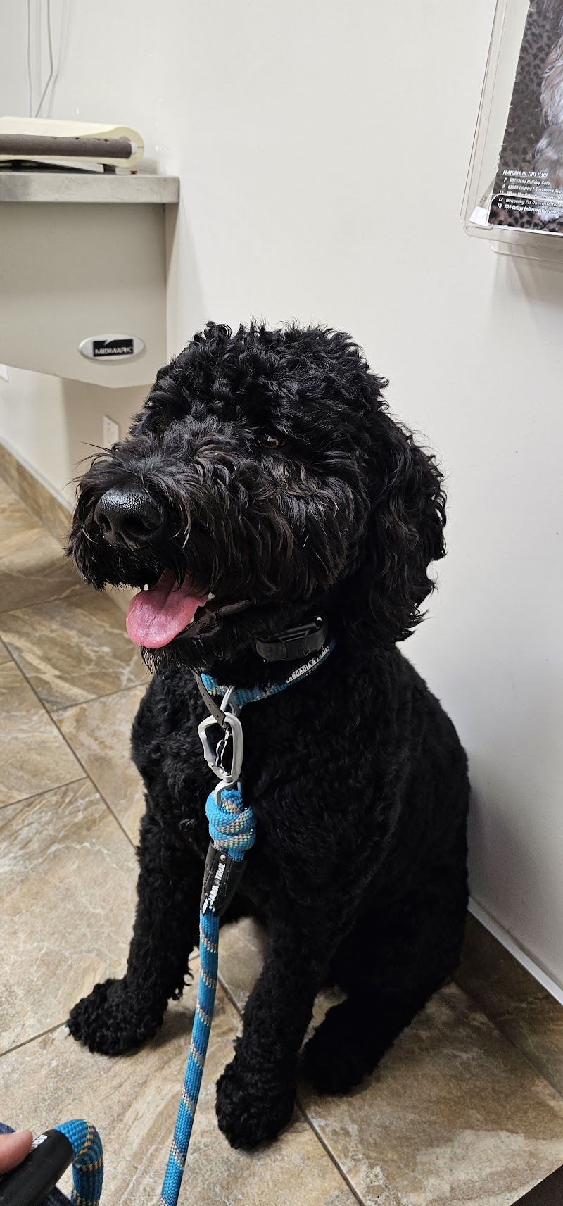 Cabrillo Pet Hospital photo 3