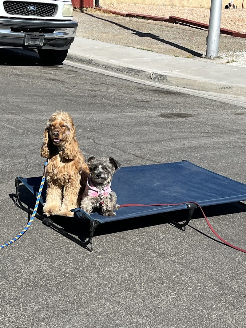 CactusK9Training LLC photo 3