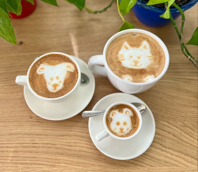 Café Crème - Oltorf photo 2