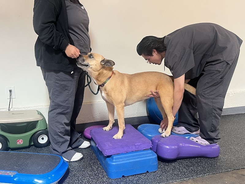 California Animal Rehabilitation photo 2