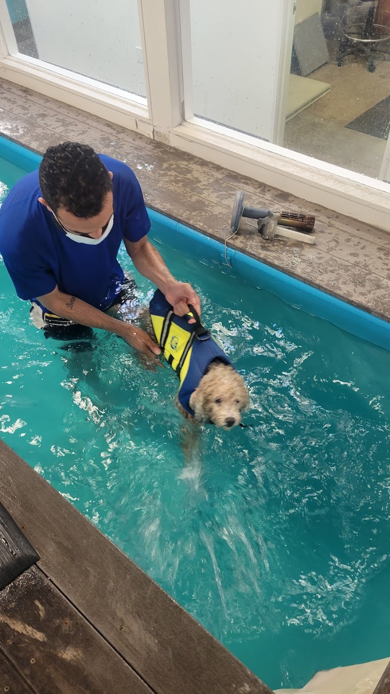 California Animal Rehabilitation photo 3