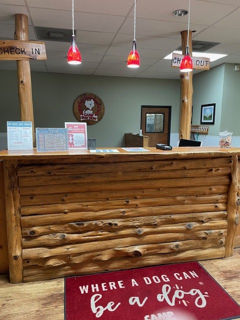 Camp Bow Wow Austin photo 3