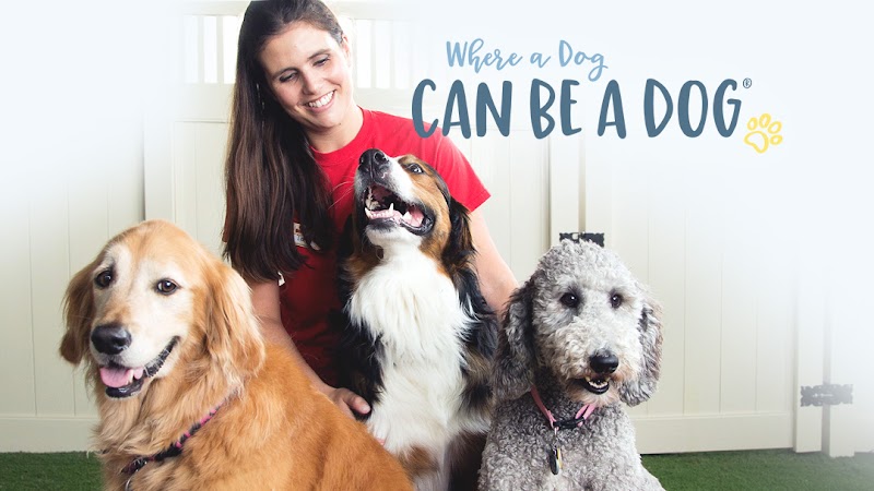 Camp Bow Wow Denver Central photo 2