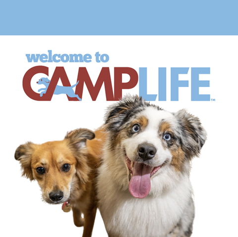Camp Bow Wow Elk Grove
