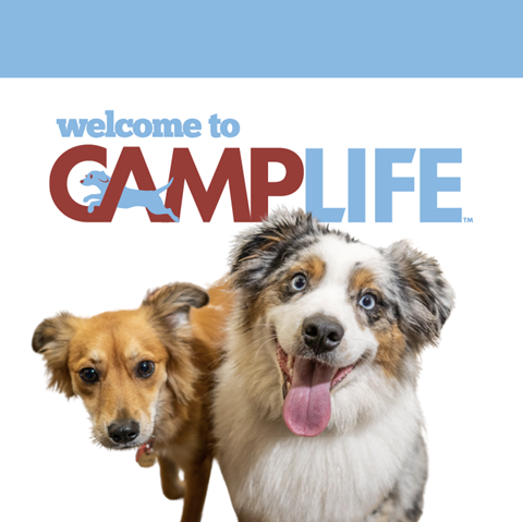 Camp Bow Wow Tampa Airport