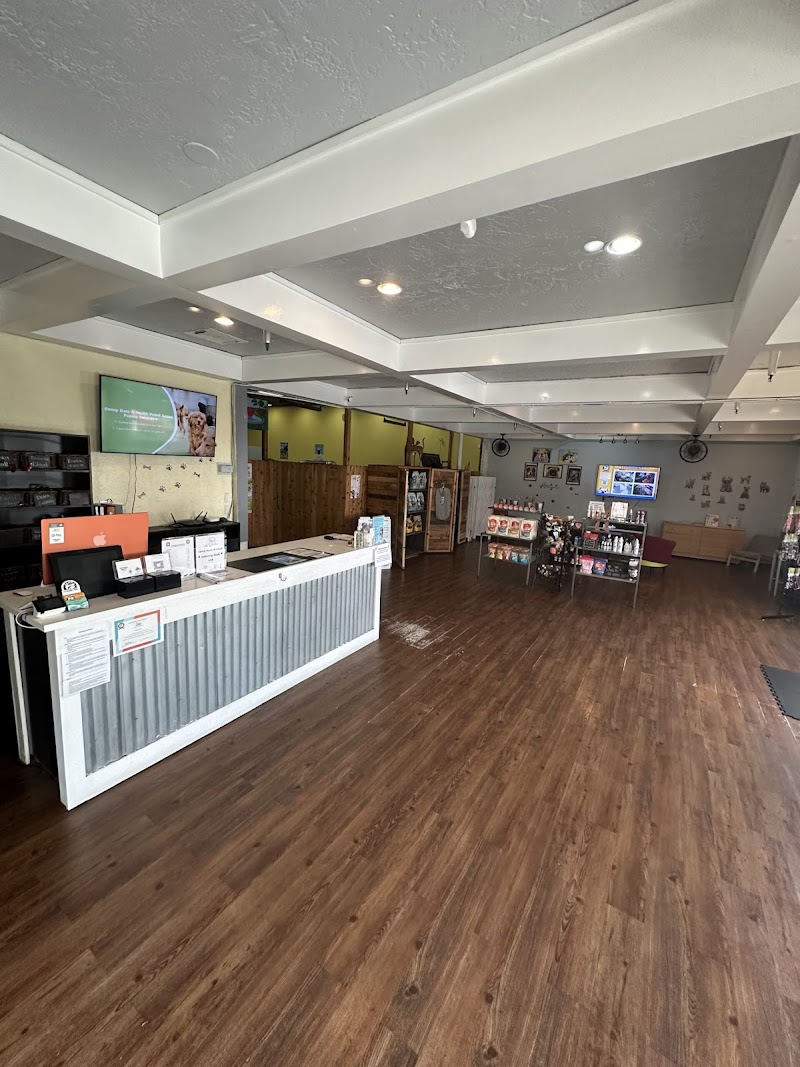 Camp Run-A-Mutt Point Loma photo 3