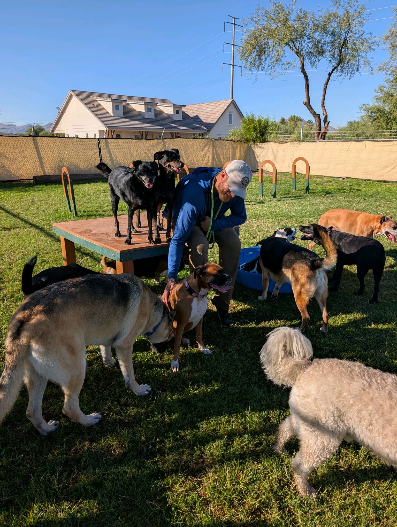 Canine Country Ranch