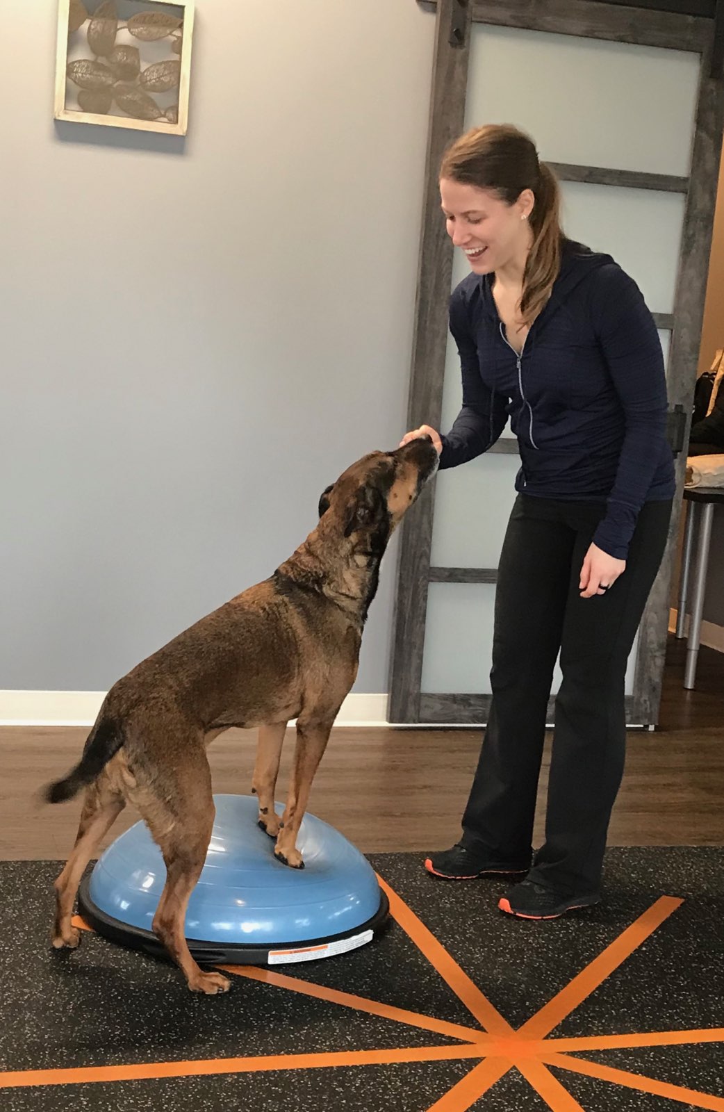 Canine PT and Me