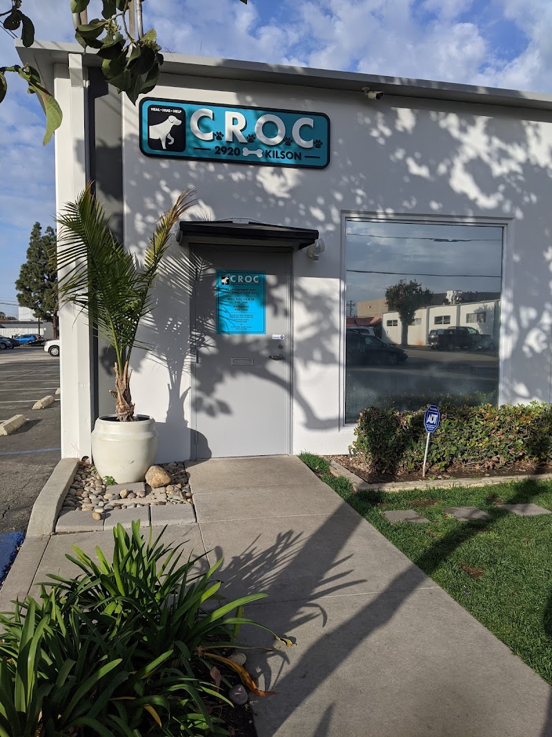 Canine Rehabilitation Of Orange County