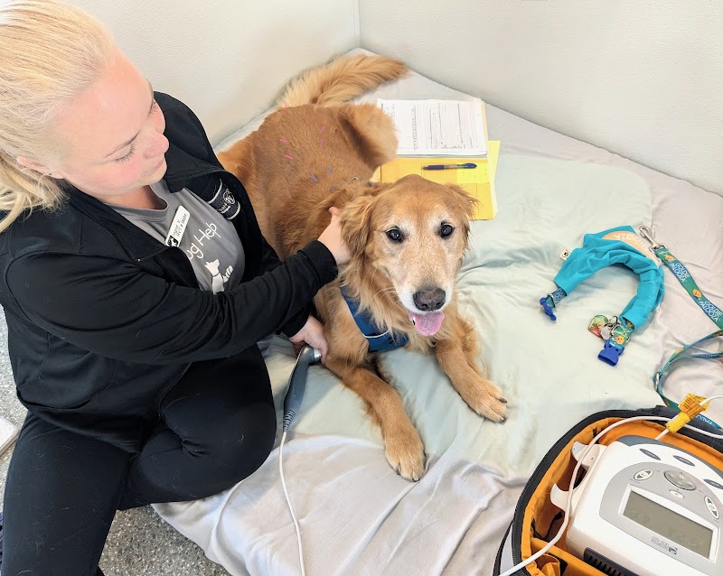 Canine Rehabilitation Of Orange County photo 2