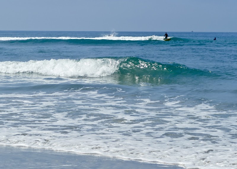 Cardiff State Beach photo 2