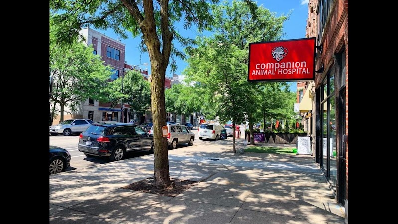 Companion Animal Hospital Wicker Park
