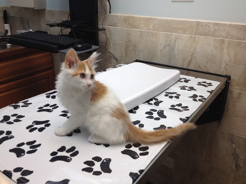 Lombard Veterinary Hospital