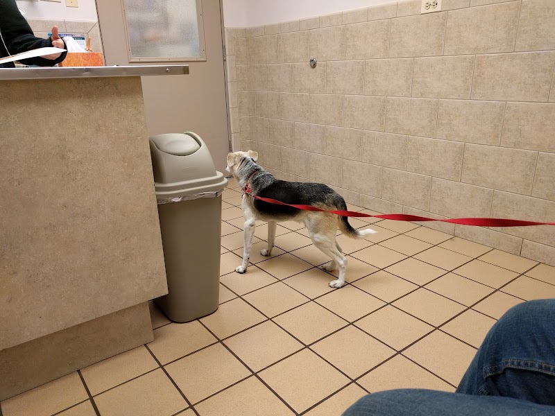 Lombard Veterinary Hospital photo 3