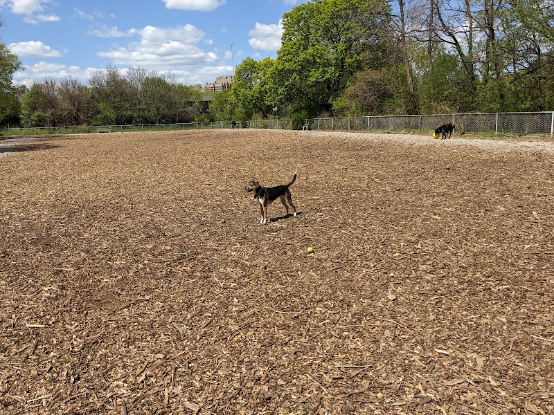 Franklin Terrace Off-Leash Dog Park
