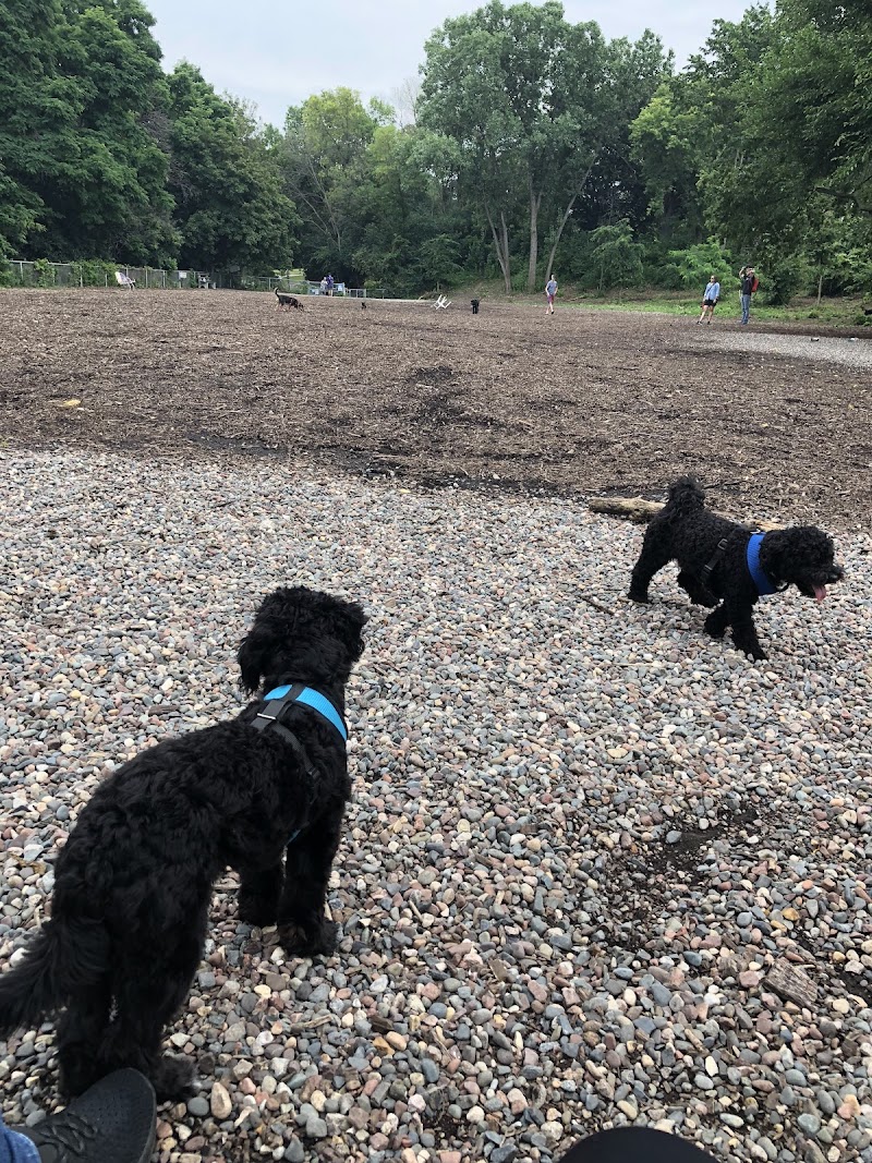 Franklin Terrace Off-Leash Dog Park photo 3