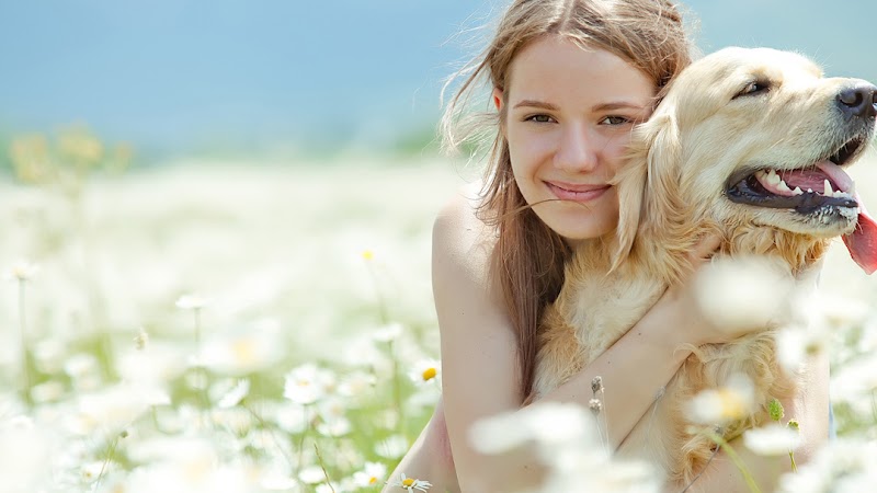 West Allis Veterinary Clinic