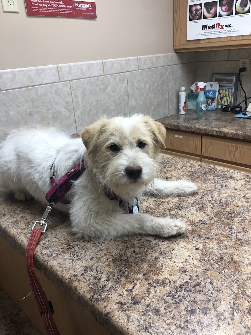 West Allis Veterinary Clinic photo 2