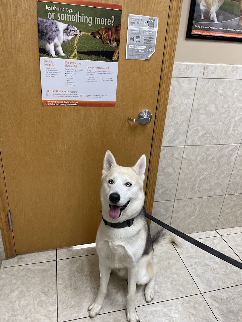 West Allis Veterinary Clinic photo 3
