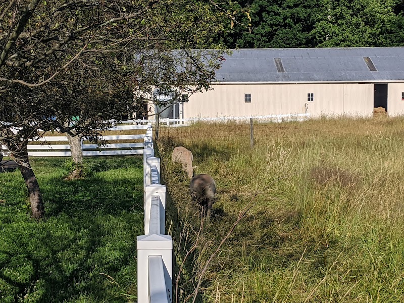 Fox Veterinary Hospital