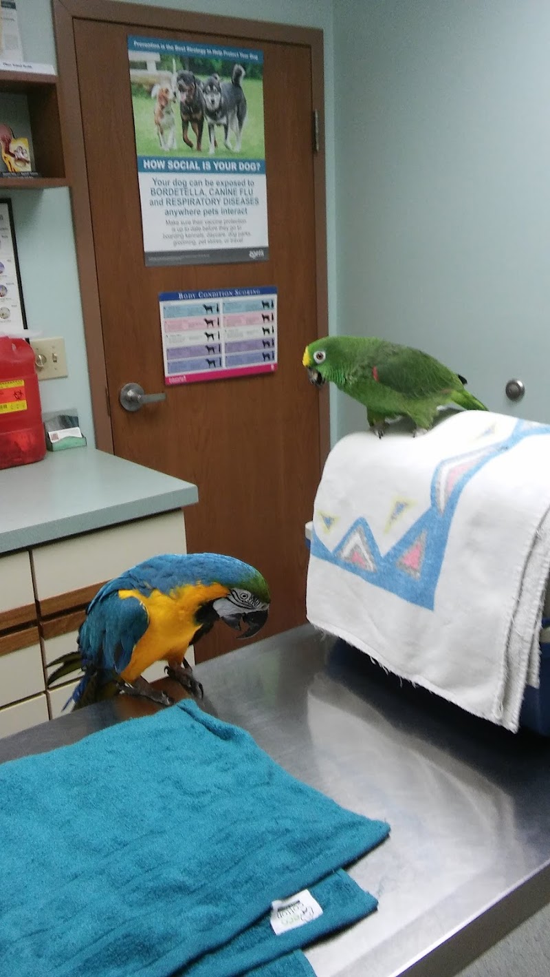 Fox Veterinary Hospital photo 2