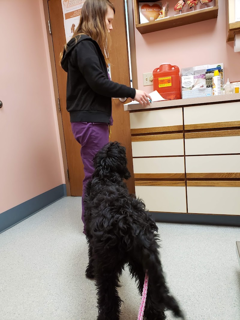 Fox Veterinary Hospital photo 3