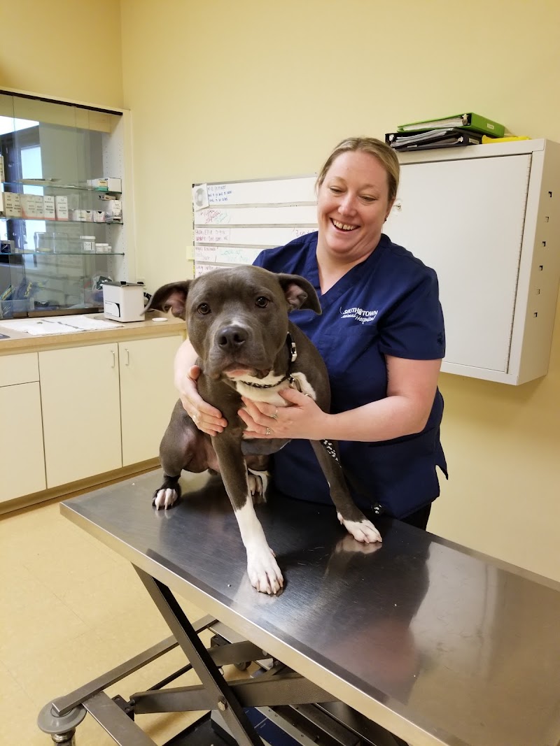 South Town Animal Hospital photo 2