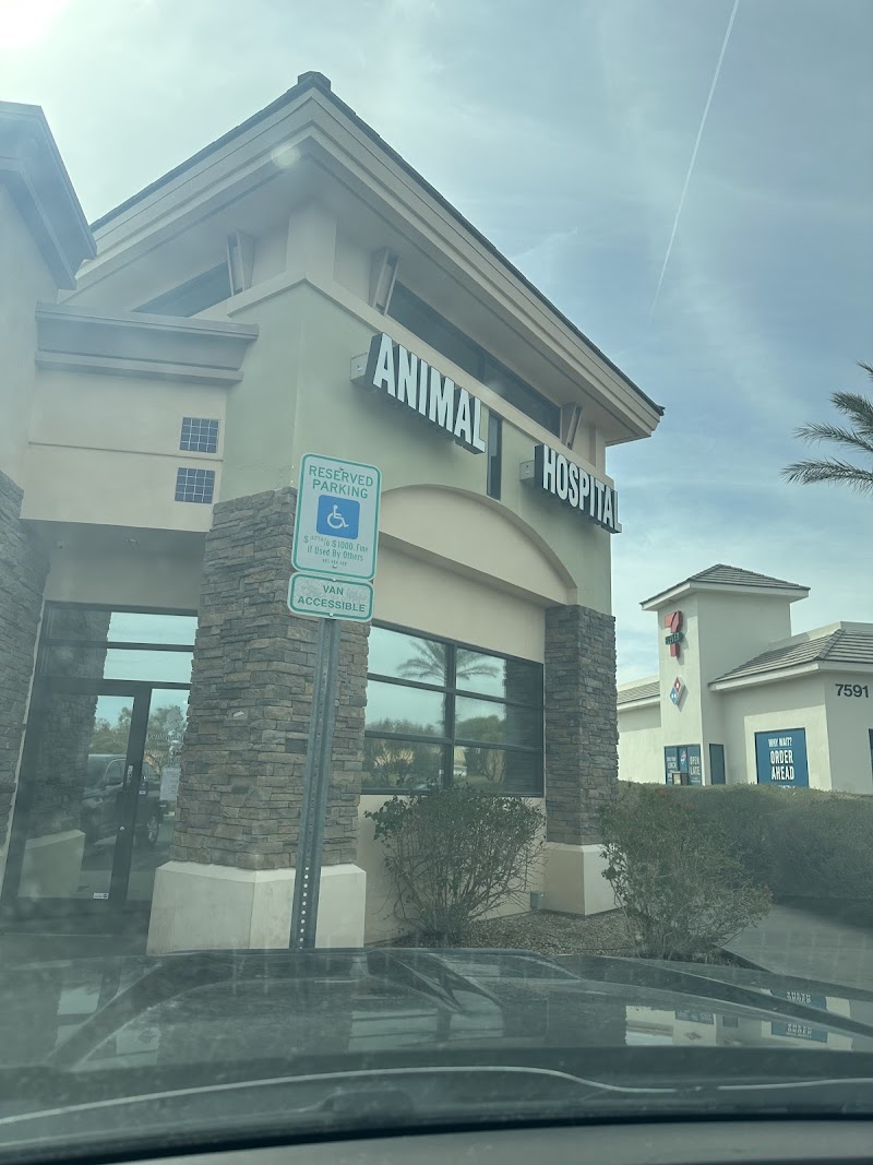 Centennial Hills Animal Hospital photo 2