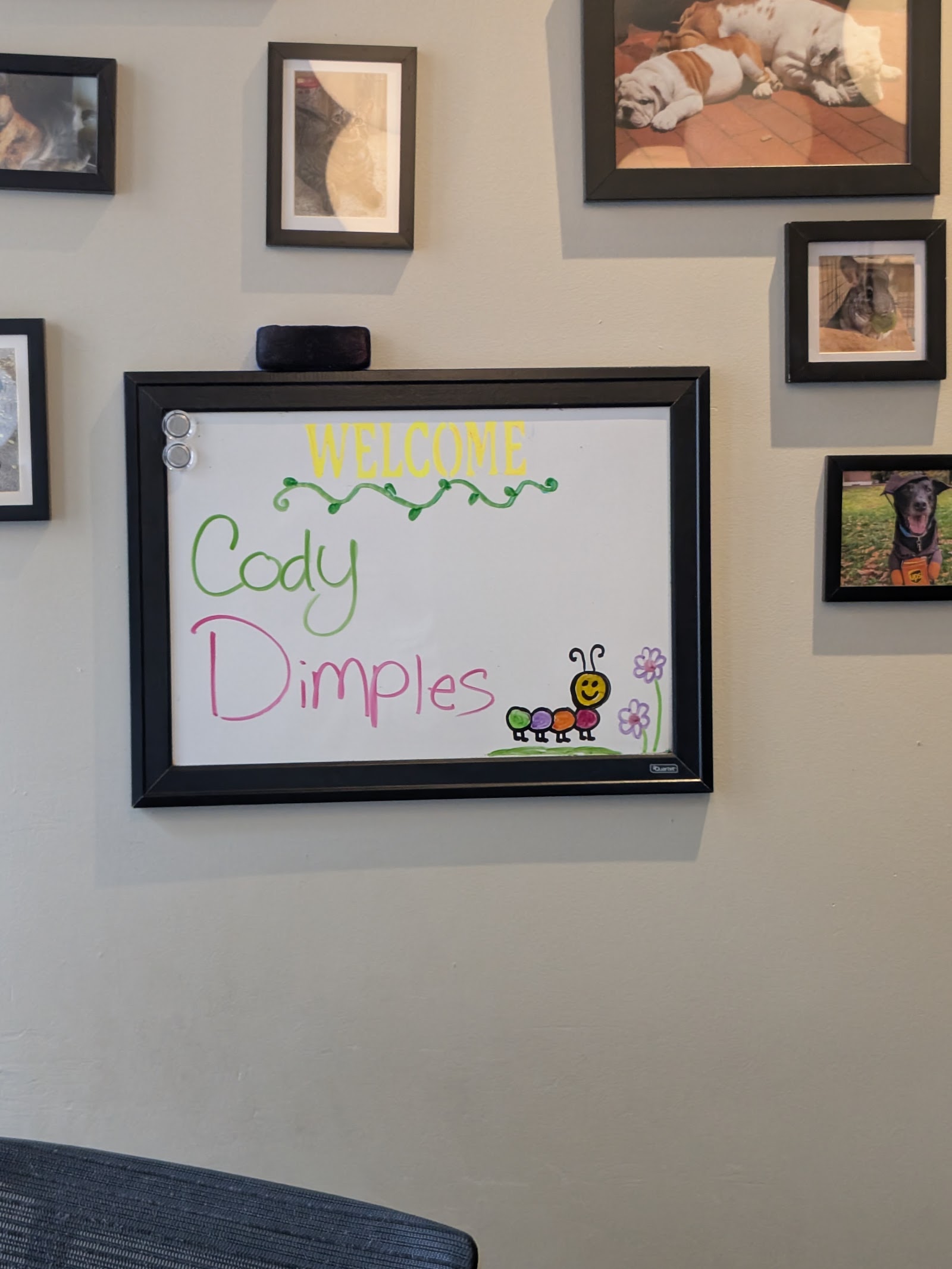 Center City Veterinary Hospital