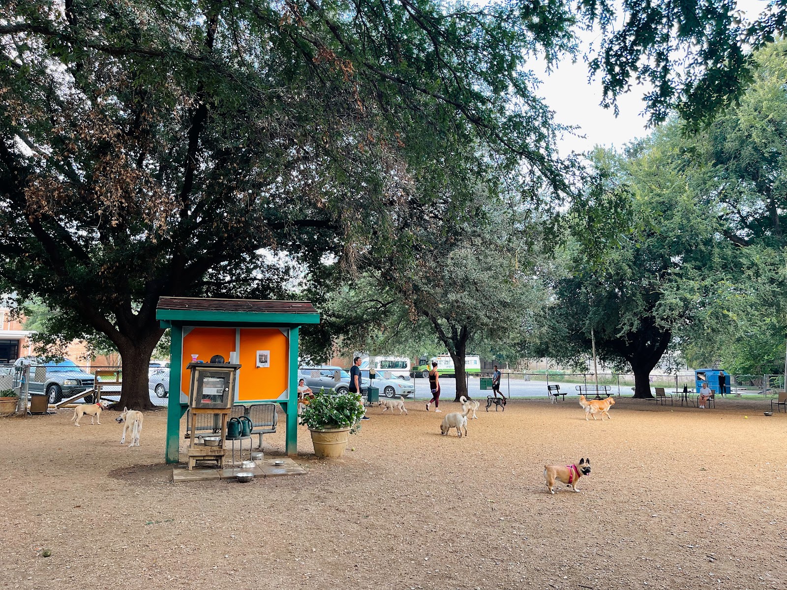 Central Commons Community Dog Park