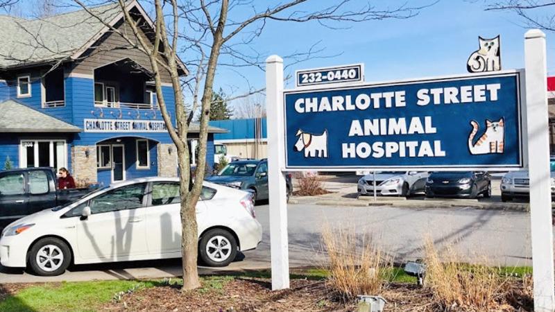 Charlotte Street Animal Hospital