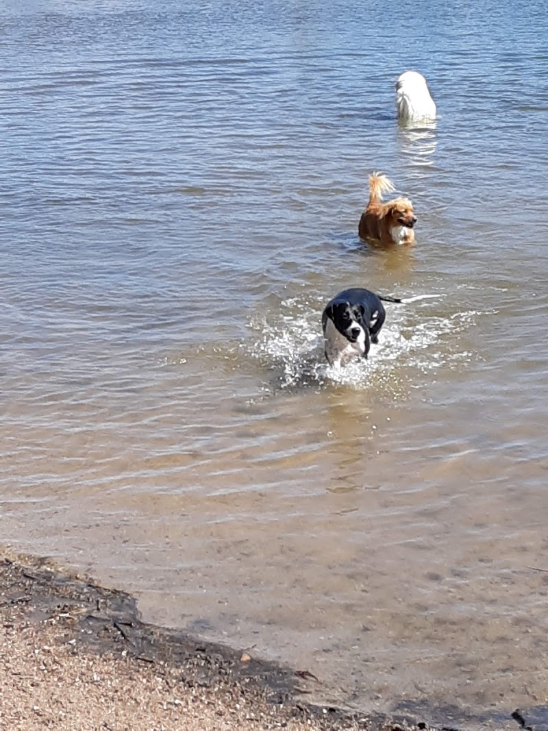 Chatfield Dog Park photo 2