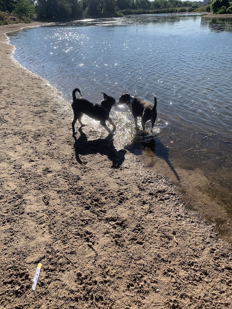 Chatfield Dog Park photo 3