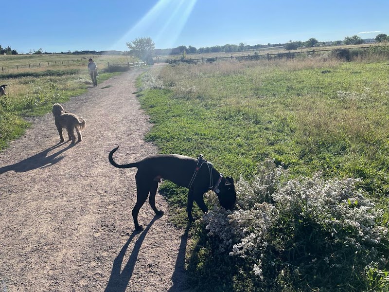 Cherry Creek ​Dog Of​f Leash Area (DOLA) photo 3