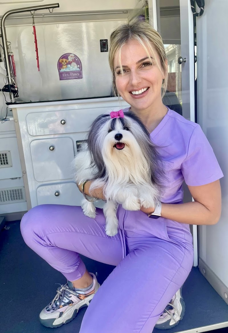 Chic Paws Pet Grooming