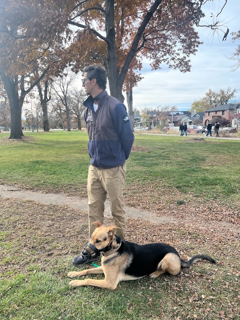 Chill Out Dog Training