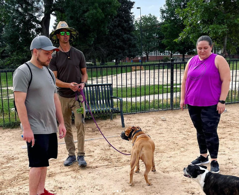 Chill Out Dog Training photo 2