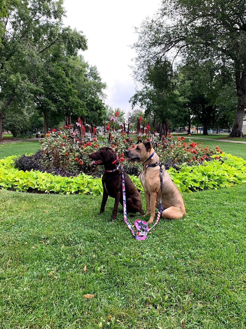 Chill Out Dog Training photo 3