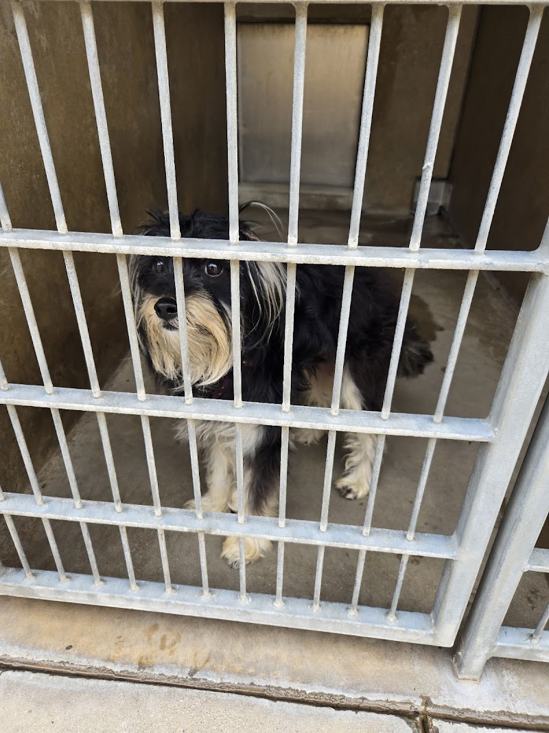 Chula Vista Animal Services