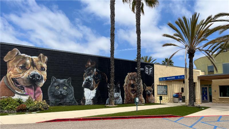 Chula Vista Animal Services photo 3