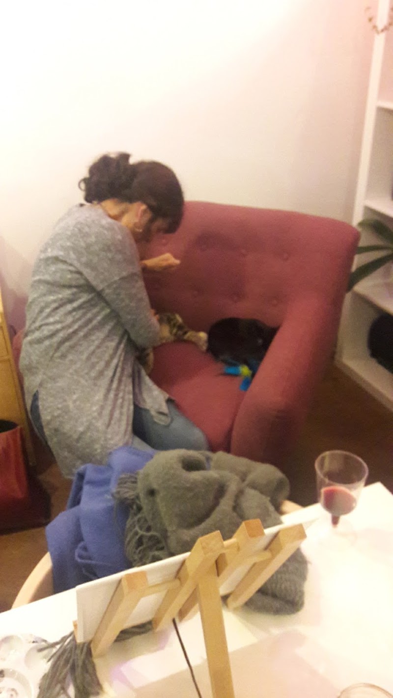 City Kitty Sitter photo 2