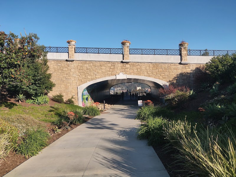 Civita Dog Park photo 2