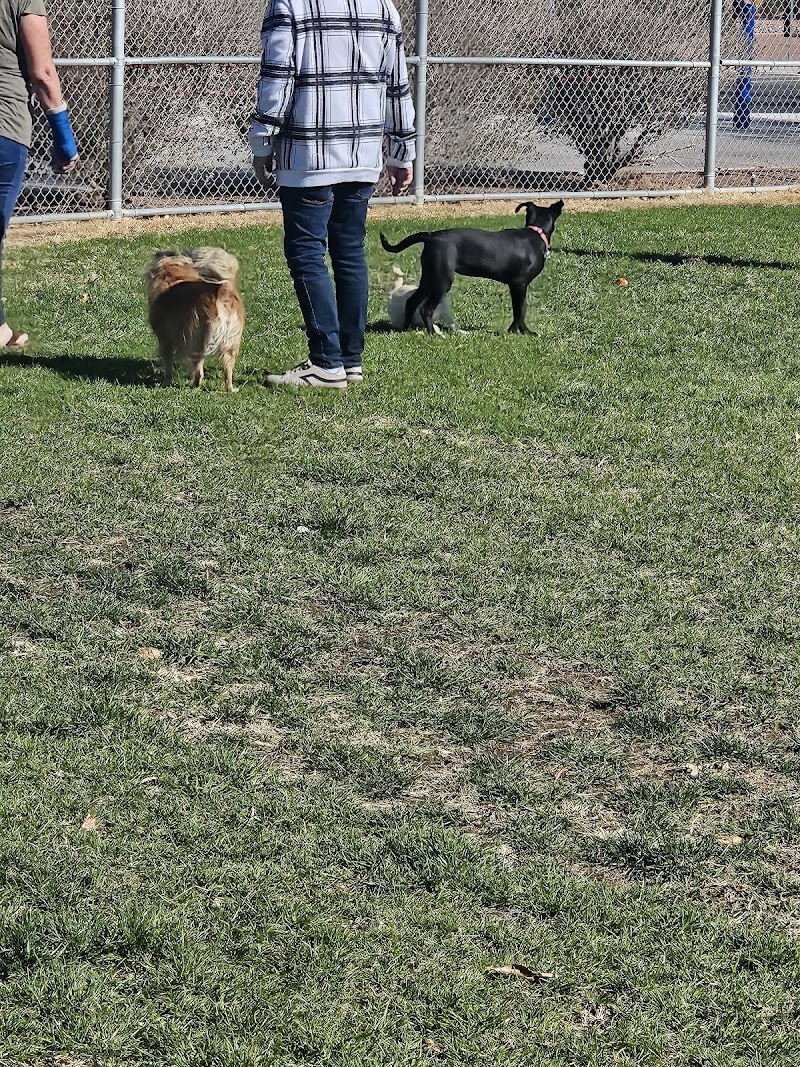 Clark County Dog Park at Spring Valley Community Park