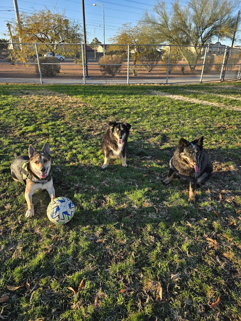Clark County Dog Park at Spring Valley Community Park photo 2