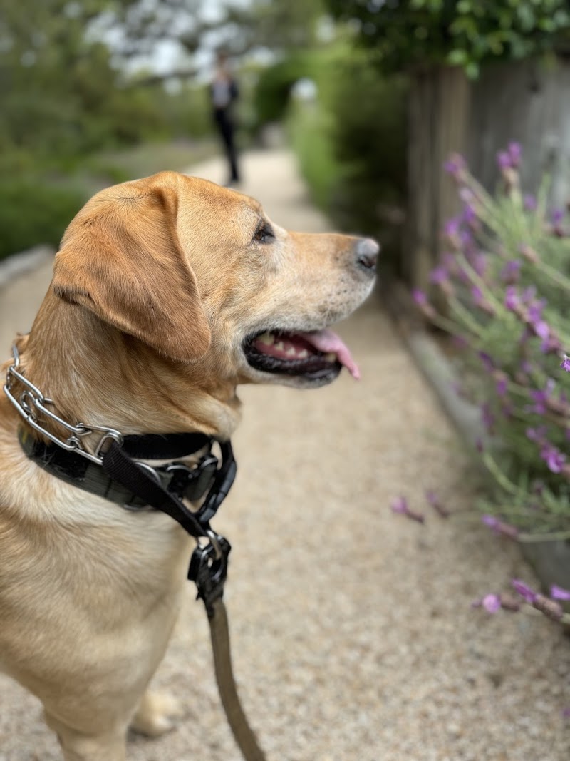 CoastView Veterinary Hospital