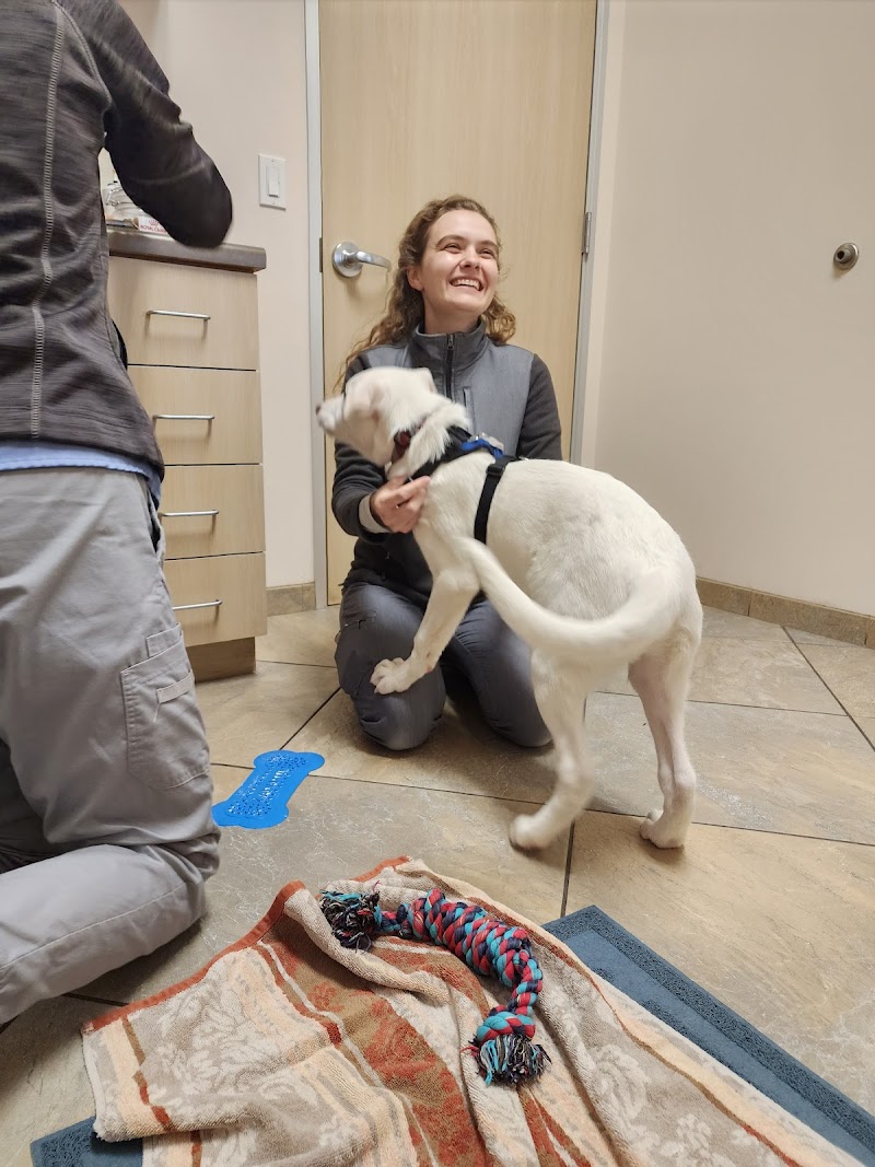 CoastView Veterinary Hospital photo 3