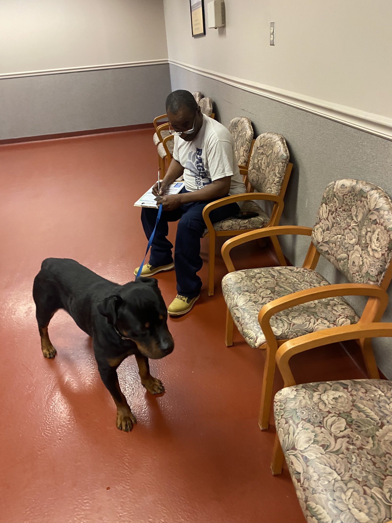 Cobb County Animal Services