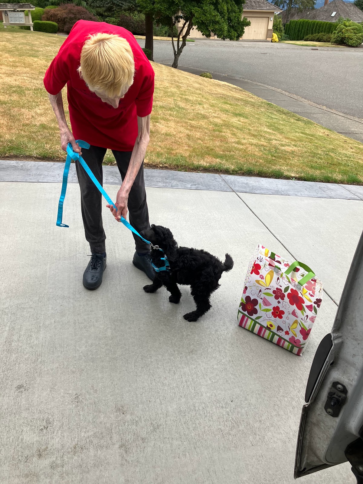 Coble's Cross Country Pet Transport LLC photo 2