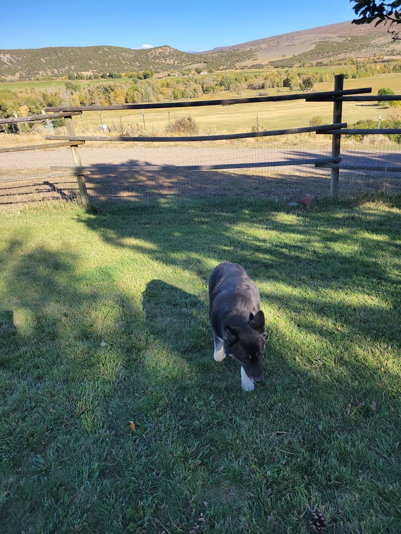 Colorado Animal Rescue photo 3